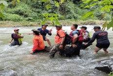 Tim Sar Evakuasi Jasad Pria Hanyut di Sungai Kaligenteng Pekalongan 