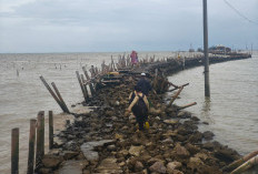 Demi Sekolah, Anak-anak Tambaksari Demak Berjuang Lewati Jalan Rusak di Tengah Abrasi