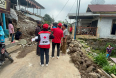 Lima Rumah di Tegal Diterjang Longsor, Seorang Lansia Sempat Tertimpa Material 