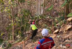 Lahan Perbukitan di Sruweng Kebumen Terbakar, 1,5 Hektare dan 50 Pohon Jenitri Ludes