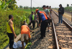 Pulang Ziarah, Seorang Lansia Ditemukan Tewas Tertemper Kereta Api di Kwaron Gubug