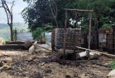 DBH Migas Blora Naik Jadi Rp 71,4 Miliar pada 2027, Masih Jauh dari 2025