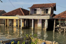 Abrasi Timbulsloko Disebut Capai 279 Meter per Tahun, Daratan Terus Terancam