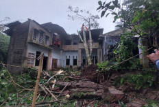 Lima Rumah Hingga Kandang Ayam Rusak, Angin Puting Beliung Terjang Pabelan Kabupaten Semarang
