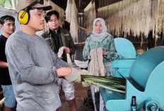Inisiasi dan Kontribusi Pengembangan Serat Nanas, KPwBI Tegal Terima Apresiasi KemenUMKM RI