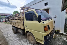Diduga Angkut 11 Batang Kayu Hasil Illegal Logging, Supir Truk di Wirosari Grobogan Dibekuk Polisi