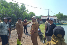 Banjir Rob Tunggulsari Pati Diperparah Pembangunan Ratusan Sumur Bor 
