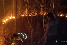 Dua Kebakaran Landa Kebumen dalam Semalam, 3 Hektare Lahan Terbakar