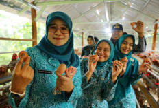 Istri Wagub Jateng Bagi bagi Ayam Petelor ke Warga Kudus, Apa Tujuannya