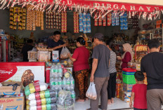 KUR BRI Bantu Fitriani Besarkan Usaha hingga Buka Lapangan Kerja bagi Warga Pesawaran Lampung