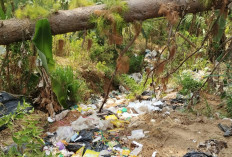 Sampah Dapur SPPG Dawuhan Diduga Dibuang ke Kawasan Hutan, Aktivis Jaga Rimba Bereaksi  