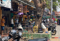 Pasar Koplak Kebumen, Jejak Pangkalan Dokar yang Kini Jadi Buruan Penghobi Burung