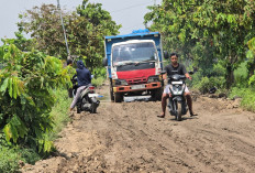 Akses Jalan Galian C Tanon-Gading Viral, Disebut Wisata Jeglongan Sewu Seperti Kubangan Kerbau 