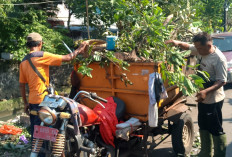 Tim Oren Dibentuk, Penanganan Sampah Liar di Semarang Tengah Kian Terkendali