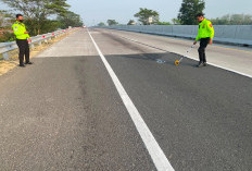 Insiden Tragis di KM 289 PPTR, Daihatsu Xenia Tabrak Mobil Misterius, 2 Orang Meninggal