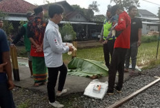 Lagi, KA Harina Sambar Pengendara Motor di Perlintasan Tosari Brangsong Kendal