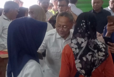 2026 Indonesia Surplus Beras, Menko Pangan Zulhas Pastikan Jelang Lebaran Kebutuhan Dalam Negeri