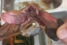 Ayam Bau dan Merah, SD Kalipancur 02 Blado Batang Kembalikan 133 Porsi MBG