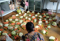 RSUD Suradadi Gelontorkan Sayur dan Buah untuk Korban Tanah Bergerak