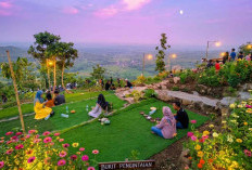 Bisa Naik Gunung Pakai Lift! Puncak Panggang Rembang Siapkan Wahana Baru 150 Meter