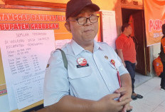 Hasil Uji Lab Penyebab Keracunan MBG di SDN 2 Pulongrambe Ternyata Bukan Susu, tapi Menu Ini