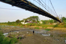 Debit Sungai Silugonggo Menyusut, Puluhan Hektar Sawah dan UMKM Wisata di Pati Terancam