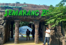 Isu Macan Dijual, Disbudpar Lepas Tangan soal Operasional Semarang Zoo