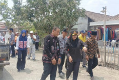 Tanggapi Keluhan Jalan Rusak Bupati Paramitha Langsung Cek Lokasi dan Pastikan Perbaikan Segera
