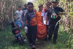 Juragan Tebu di Kudus Tewas Mengenaskan, Terbakar Hidup hidup di Lahan Miliknya