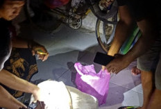 Temuan 15,5 Kg Bahan Peledak di Kudus Bikin Merinding, Polisi Ringkus Tiga Tersangka