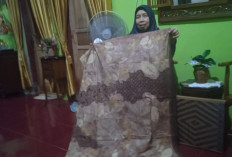 Di Batang, Limbah Bisa Serap Tenaga Kerja di Aulia Nabila Craft 