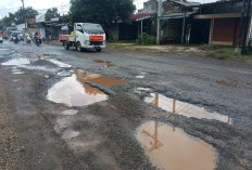 Jalan Berlubang Ancam Nyawa Pengendara, Tim Klinik DPUPR Jepara Tangani Jalan Rusak