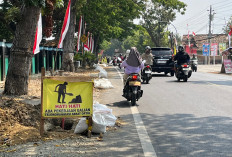 Proyek Fiber Optik di Blora Makan Korban, Pengembang Mengaku Belum Tahu Soal Forum LLAJ