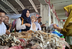 Sidak 15 Pasar Jelang Lebaran 2026, Dinkes Batang Temukan Boraks dan Formalin di Sejumlah Produk