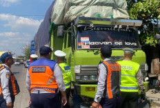 Dishub Semarang dan Daop 4 Tinjau Perlintasan JPL 8 Alastua, Bakal Dievaluasi Guna Cegah Kecelakaan