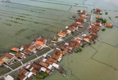 Dulu Sawah dan Tambak Produktif, Kini Timbulsloko Berjuang Menghadapi Laut