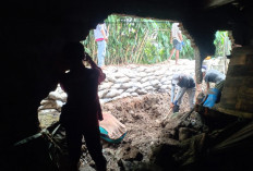 Tanggul Sungai Plumbon Jebol Lagi, Warga Mangkang Kulon Selamatkan Bayi Saat Banjir Setinggi Dada