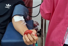 Stok Darah PMI Kota Semarang Turun 70 Persen, MUI: Donor Saat Puasa Tidak Membatalkan 