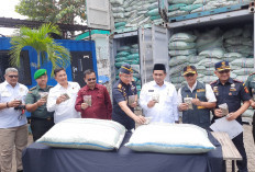Bea Cukai Gagalkan Ekspor 90 Ton Kratom ke India di Tanjung Emas, Dokumen Dipalsukan
