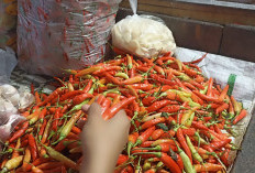 Harga Cabai Meroket hingga Rp70 Ribu, Disperindag Jateng Pastikan Mulai Turun 