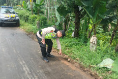 Gagal Salip Kendaraan, Remaja Putri asal Blado Batang Meninggal Dunia  