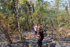 Kawasan Hutan di Simo Grobogan Kebakaran, Diduga Akibat Pembakaran Semak untuk Membersihkan Lahan