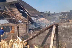 Gudang Produksi Berbahaya Kayu di Banyudono Boyolali Terbakar, 90 Persen Bangunan Hangus
