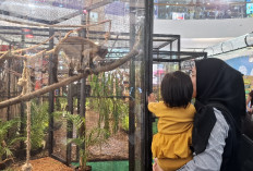 350 Satwa Gembira Loka Serbu The Park Semarang