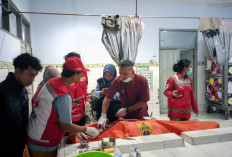 Bocah 11 Tahun Tewas Penuh Luka Sayatan, Diduga Korban Perampokan