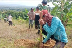 Rusaknya Alam Pegunungan Kendeng Dibidik TMMD Kodim Pati
