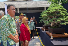 Pembukaan Rembang Imagination 2026: Pameran Bonsai Nasional Dorong Pariwisata dan Ekonomi Kreatif Rembang