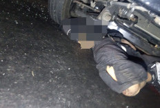 Adu Banteng Honda Beat dan L300 di Simpang Tiga Cebongan Salatiga, Pengedara Tewas Terjepit di Kolong Mobil