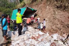 Diduga Rem Blong, Truk Boks Frozen Food Tabrak Tebing di Tersono Batang, Sopir Tewas di Lokasi