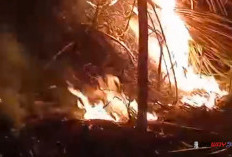 Dua Kebakaran Perbukitan Kebumen dalam Sehari, 3 Hektare Lahan Hangus